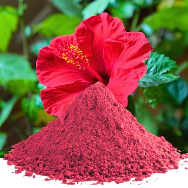 Hibisus Powder - Dawasaz