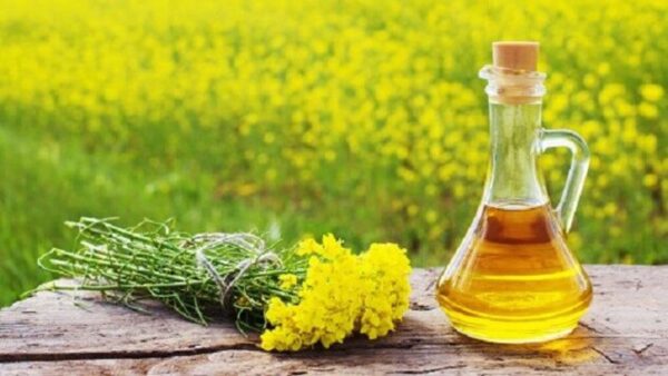 Mustard Oil