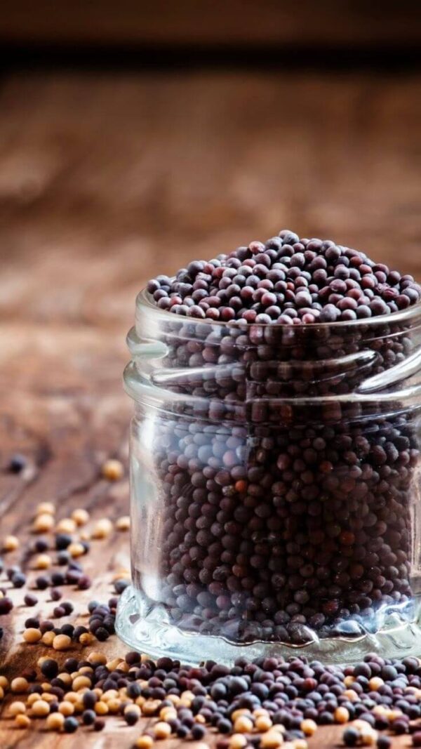Mustard Seeds-Rai