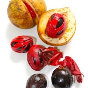 Nutmeg