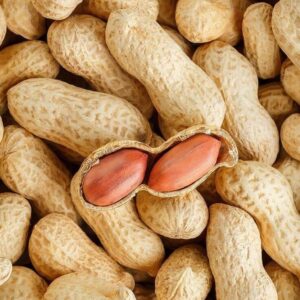 Peanut