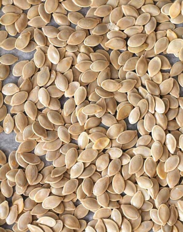 Pumpkin Seeds