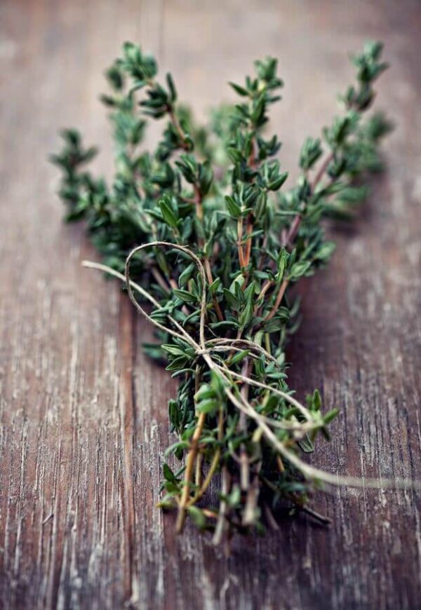 Thyme